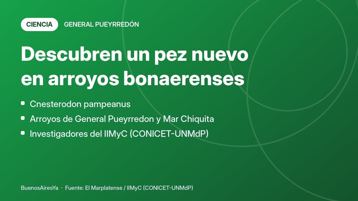Imagen adjunta a la publicación