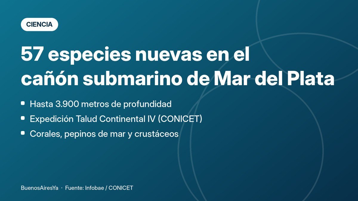 Imagen adjunta a la publicación